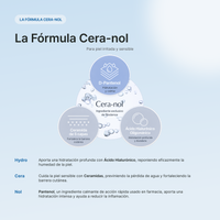 Biodance Cera-Nol Gel Toner Pads (60 pads)