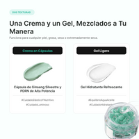 VT Cosmetics Pdrn Capsule Cream 100 50ml